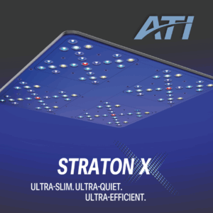 ATI Straton X