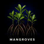 Mangroves