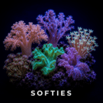 Softies